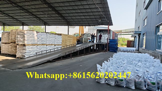 High Purity Soda Caustica Perle Export