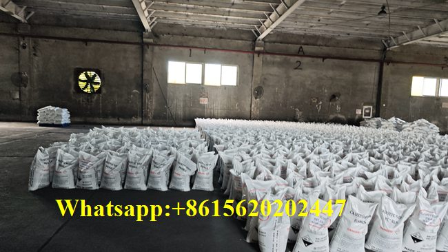 Soude caustique pour savon gros 120000 t an