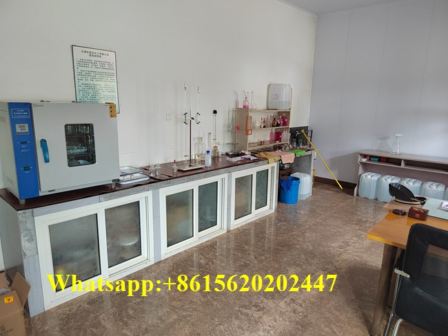 Usine de caustic soda prills 99% purete