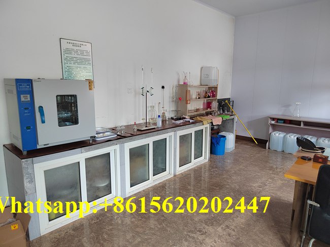Trusted Soda Caustica 25 kg Bags Factory Price